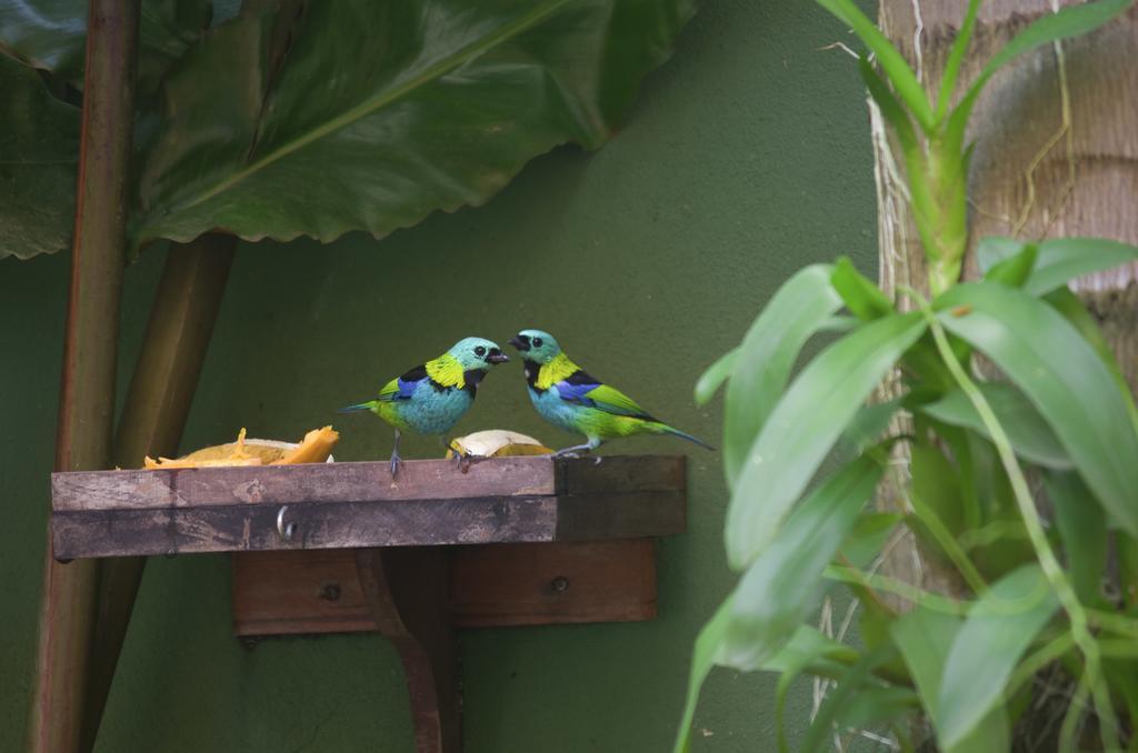 Pousada Refugio Tropical Paraty Zewnętrze zdjęcie